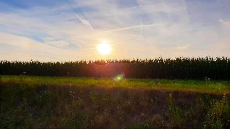 Vakantiewoning Henisdael Heers Luaran gambar