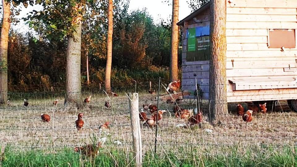 Vakantiewoning Henisdael Heers Luaran gambar