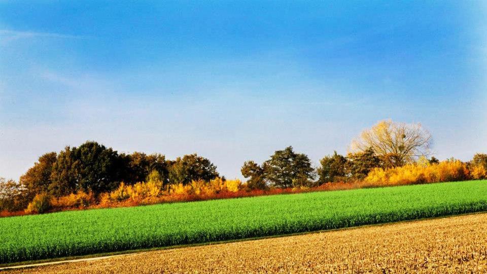 Vakantiewoning Henisdael Heers Luaran gambar